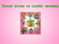 Презентация Лесная аптека на службе человека