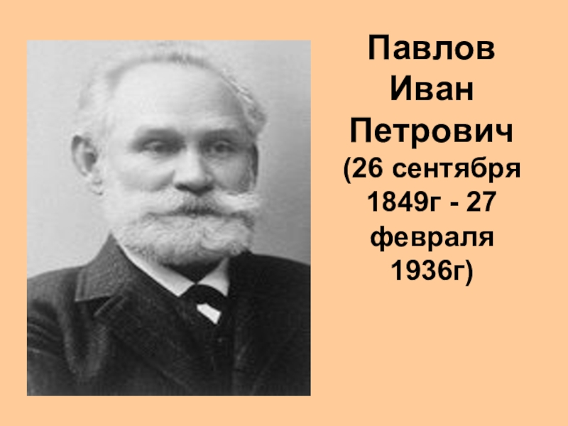 Иван петрович павлов презентация по биологии