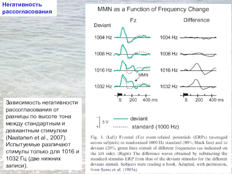 Функция частота. Негативность рассогласования. Негативность рассогласования Наатанен. Негативность рассогласования картинка. Вызванные потенциалы в исследовании внимания.