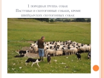 Презентация Собаки 1 породной группы