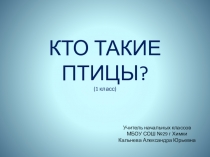 Презентация по окружающему миру на тему  Кто такие птицы