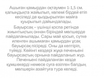 Презентация по казахскому языку Қазақтың дастарханы