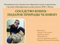 Соседство кошек – подарок природы человеку (2 класс)