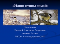 Презентация по окружающему миру на тему Птицы