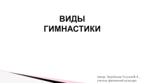 Презентация по физической культуре на тему Виды гимнастики