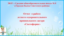 Отчет о работе пришкольного лагеря  Светофорик июнь 2019год