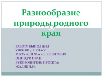 Презентация по окружающему миру Разнообразие природы родного края