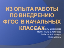 Из опыта работы по внедрению ФГОС в начальных классах