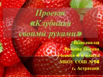 Презентация к Исследовательскому проекту Клубника своими руками