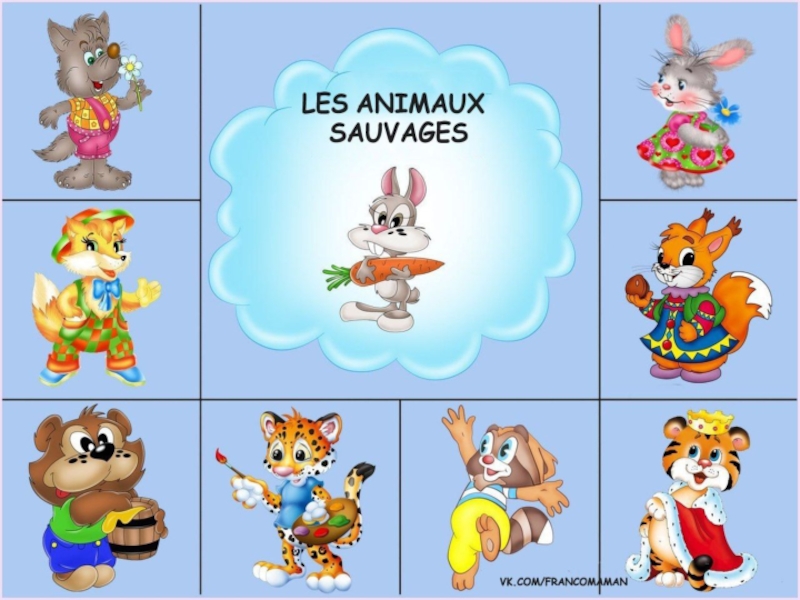 Презентация по французскому языку Животные