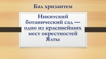 Бал хризантем