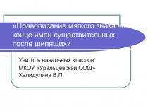 Презентация к уроку русского языка Правописание мягкого знака на конце существительных после шипящих