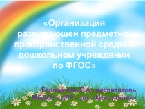 Организация развивающей предметно-пространственной среды в дошкольном учреждении по ФГОС
