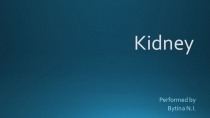 Презентация по дисциплине Английский язык на тему Kidney (ГБОУ НО НМК)