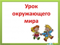 Презентация по окружающему миру на тему Животные луга(4 класс)