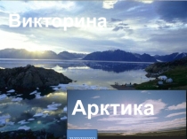 Презентация по географии. Викторина  Арктика