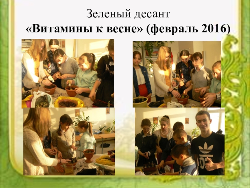 Социальный проектКаждый ребенок особенный, все дети равные Зеленый десант «Витамины к весне» (февраль 2016) Зеленый десант «Витамины к весне» (февраль 2016)