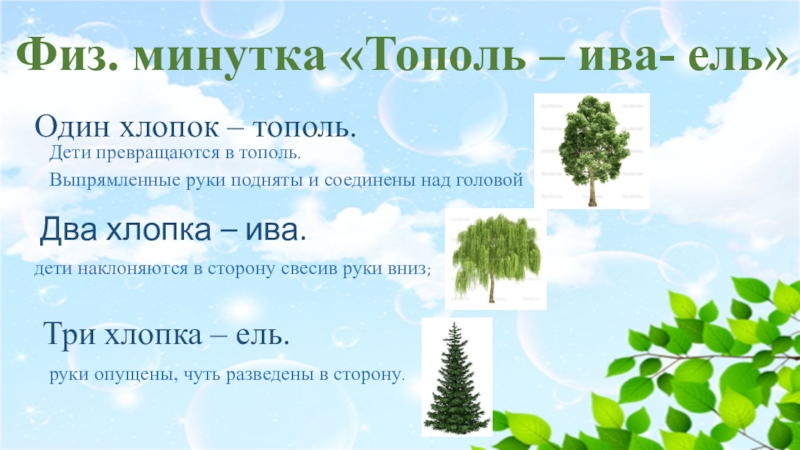 Призентация Мы друзья природы Физ. минутка «Тополь – ива- ель»Один хлопок – тополь. Два хлопка Физ. минутка «Тополь – ива- ель»Один хлопок – тополь. Два хлопка – ива. Три хлопка – ель.