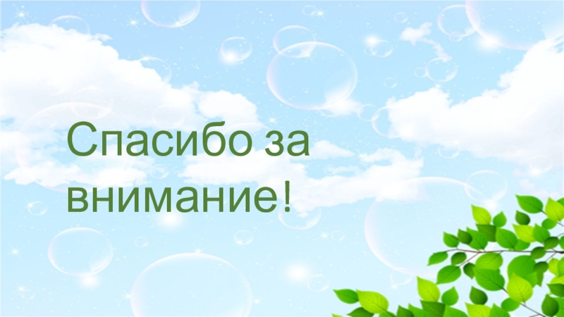 Призентация Мы друзья природы Спасибо за внимание! Спасибо за внимание!