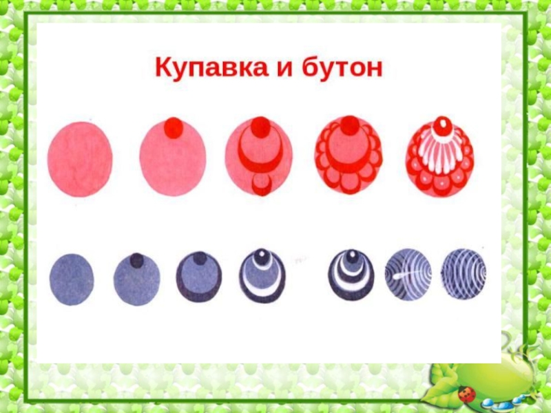 Городецкая роспись бутон. Городецкая роспись Розан и бутон. Городецкая роспись Розан и Купавка. Городецкая роспись элементы Купавка. Купавка в Городецкой росписи.