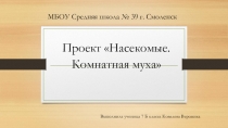 Презентация по окружающему миру  Моё любимое насекомое