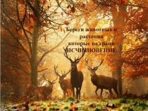 Презентация к уроку биология Красная книга