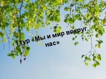 Урок - игра Мы и мир вокруг нас