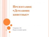 : Домашние животные