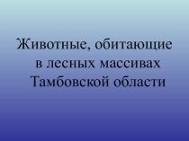 Презентация по биологии Животные Тамбовской области