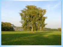 Презентация к песне  У моей России длинные косички