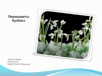Презентация по ознакомлению с миром природы
