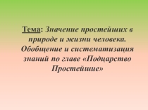 :  Значение простейших