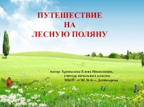 Презентация к занятию по внеурочной деятельности на тему Путешествие на лесную поляну