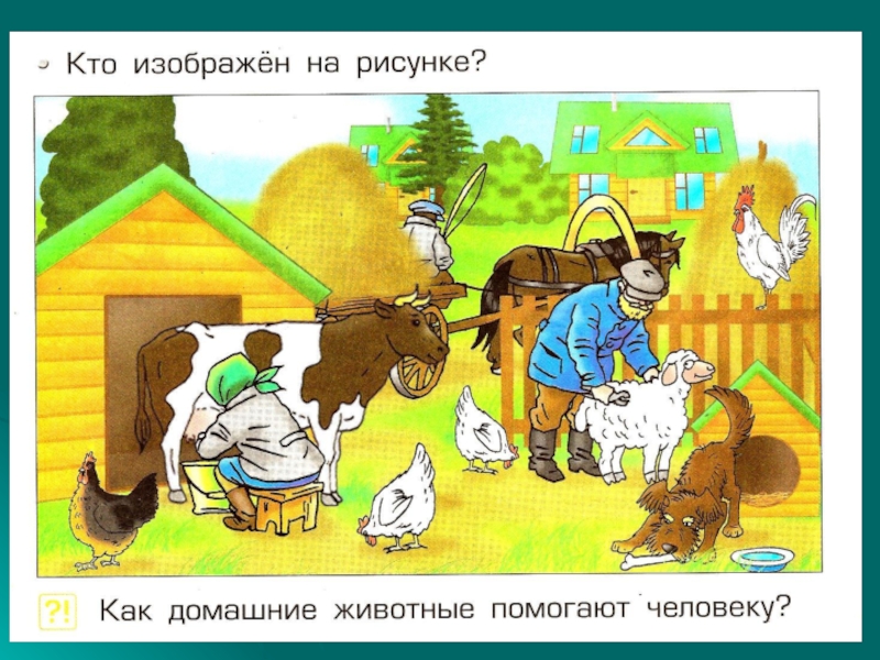 Домашнее по окружающему. Как животные помогают человеку. Как домашние животные помогают человеку. Какие животные помогают людям. Как животе помогают человеку.