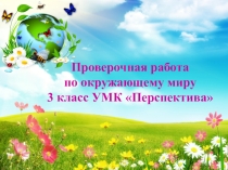 Проверочная работа по окружающему миру (3 класс)