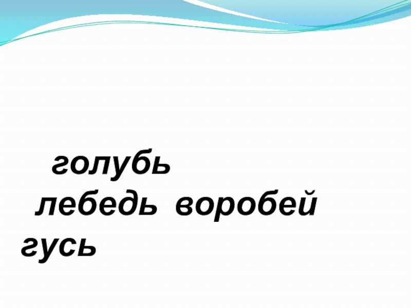 Презентация по русскому языку на тему Разделительный мягкий знак(1 класс) голубь лебедь воробей гусь голубь лебедь воробей гусь