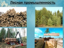 Презентация по географии на тему Лесная промышленность