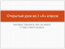 Урок по теме Множественное число существительных 2 класс