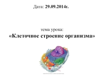 Презентация к уроку по теме Клетка