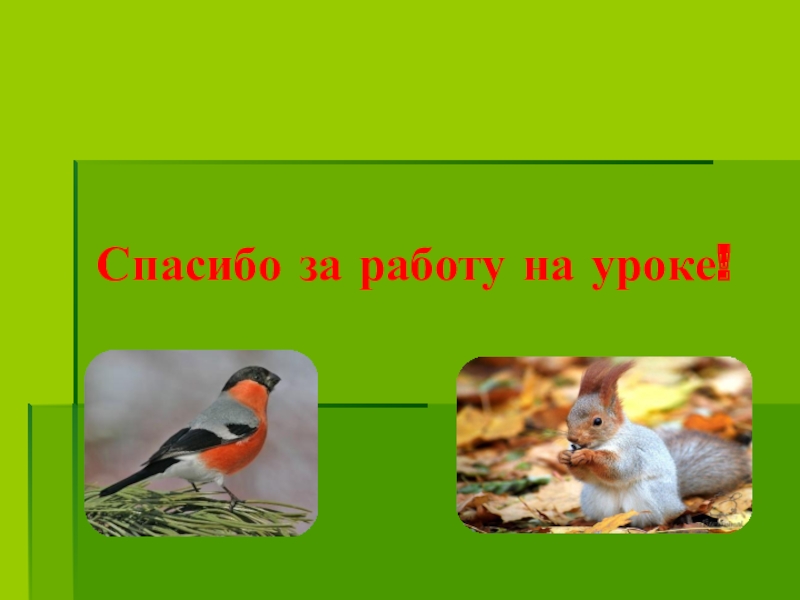 Кто такие звери 1 класс. Кто такие звери школа России. Кто такие звери 1 класс школа России ФГОС.