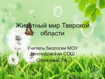 Презентация по географии 8 класс Животный мир Тверской области