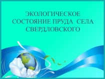 Экологическое состояние пруда села Свердловского
