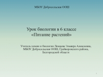 Презентация по биологии на тему  Питание растений