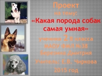 Проект ученика 2 класса на тему Какая порода собак самая умная.