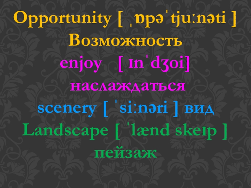 Opportunity [ ˌɒpəˈtjuːnəti ]Возможностьenjoy  [ ɪnˈdʒoi] наслаждатьсяscenery [ ˈsiːnəri ] видLandscape [ ˈlænd skeɪp ] пейзаж
