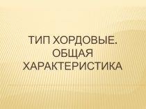 Царство животные. Тип хордовые. Строение , значение, разнообразие