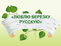 Презентация по развитию речи Русская береза