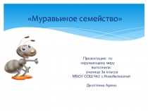 Презентация по окружающему миру на тему  Муравьиное семейство ( 3 класс)