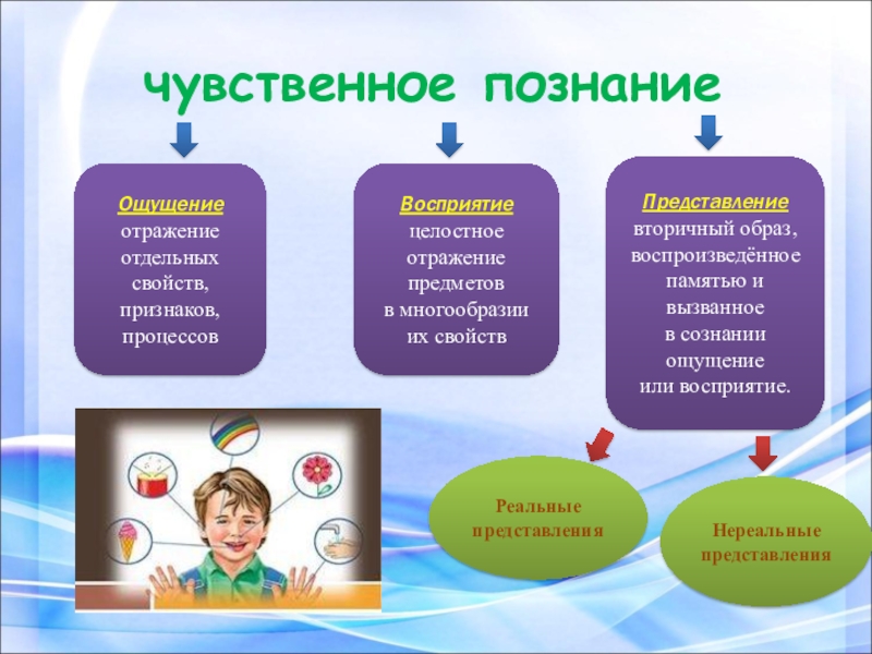 Презентация по теме познание