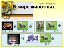 Презентация В мире животных